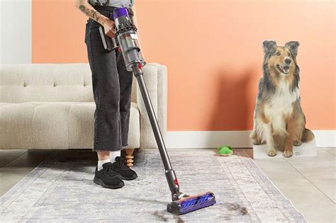 Vacuum Cleaners Good for Pet Hair: A Comprehensive Guide to Say Goodbye to Furry Messes