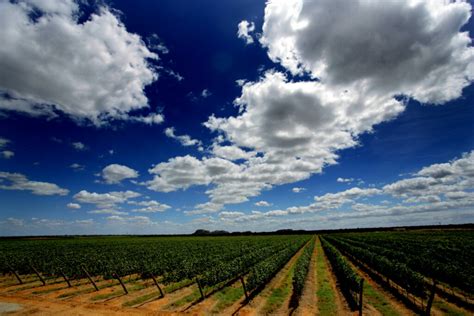 Vale do São Francisco,