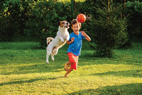 Value books for kids Cat and Dog play Ball 