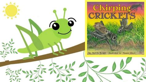Value books for kids Clever Cricket and Panda 
