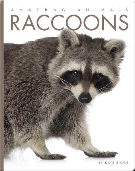Value books for kids The raccoon 