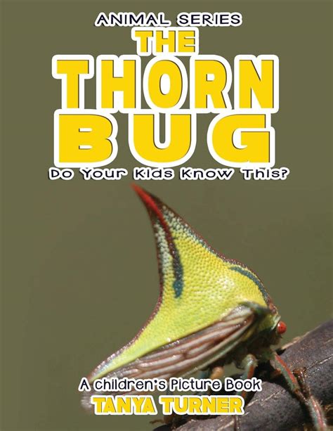 Value books for kids The thorn 