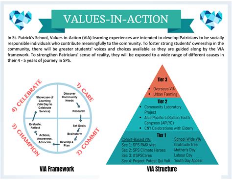 Values in Action (VIA)