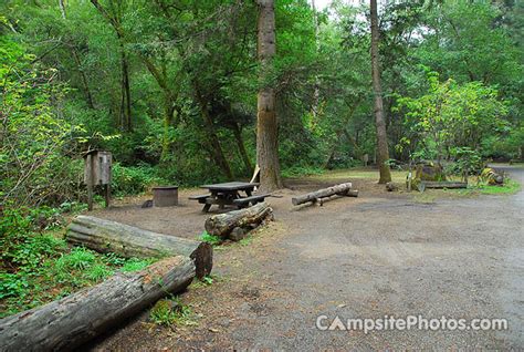 Van Damme State Park Campground: A Haven for Outdoor Enthusiasts