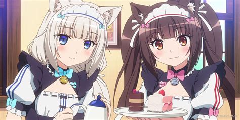 Vanilla Nekopara: A Comprehensive Guide for Cat Lovers