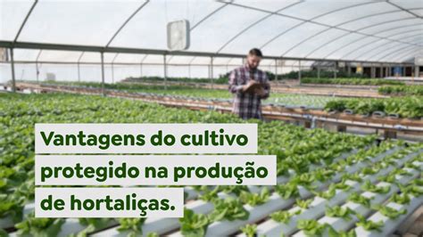 Vantagens do Cultivo de Boer