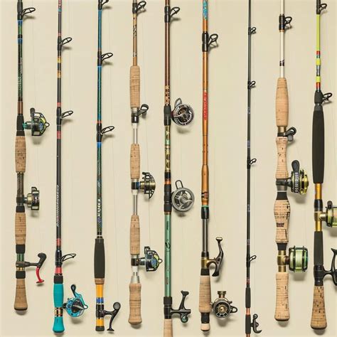 Vara de Pescar e Molinete: Guia Completo para Escolher Equipamentos e Dominar a Pesca