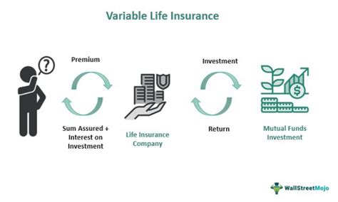 Variable Life Insurance 101: Unlocking Tailored Coverage and Investment Potential