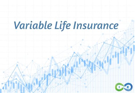 Variable Whole Life Insurance: A Comprehensive Guide