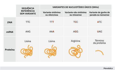 Variantes Genéticas Associadas: