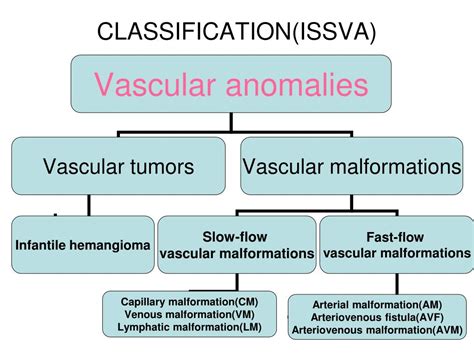 Vascular Anomalies Classification PDF