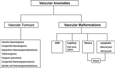 Vascular Anomalies Classification, Diagnosis, and Management Reader