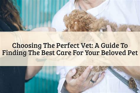 Vassar Vet: A Comprehensive Guide to Veterinary Care for Your Beloved Companions