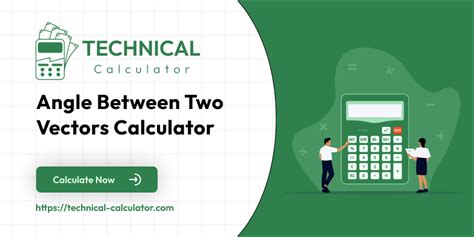 Vectors Graph Calculator 8000.0