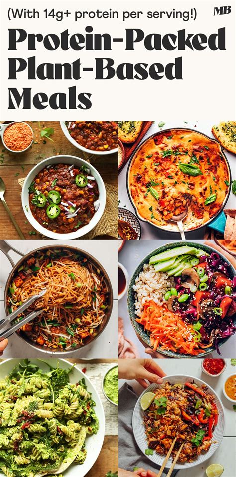 Vegan Recipes High Protein: Power-Packed Plant-Based Cuisine