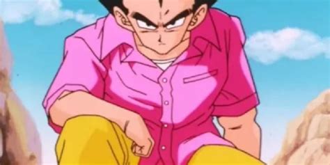 Vegeta's Pink Shirt: An Ultimate Guide to the Iconic Fashion Statement