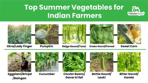 Vegetables Crops of India Reader