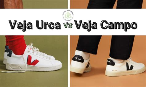 Veja: A Pioneer in Ethical and Sustainable Footwear