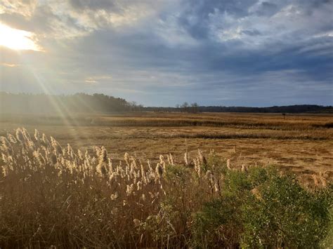 Velen's Marshlands: