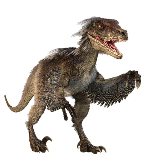 Velociraptors were feathered, bird-like dinosaurs that lived during the late Cretaceous period.