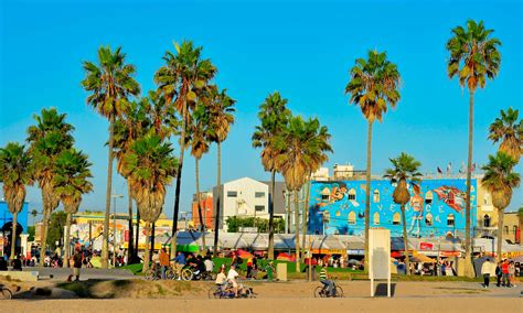 Venice Beach California: The Epitome of Beach Culture Immortalized on T-Shirts