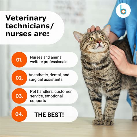 Venturing into the Exciting World of Veterinary Technicianry