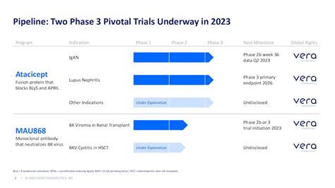 Vera Therapeutics Stock: 42% Gain This Year, 314% 5-Year