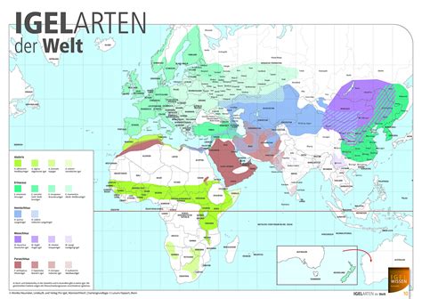 Verbreitung und Lebensraum