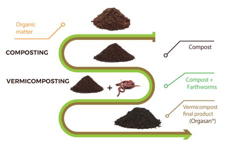 Vermicomposting