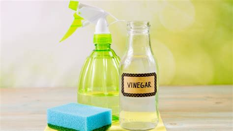 Versatile cleaning: