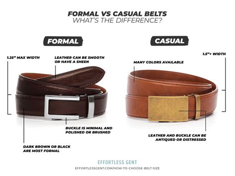 Versus Belt: A Comprehensive Guide to Choosing the Right Belt