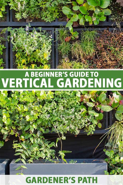 Vertical Gardening How to start a vertical garden and grow a huge range of plants Reader