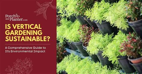 Vertical Gardens: A Comprehensive Guide to Green Living