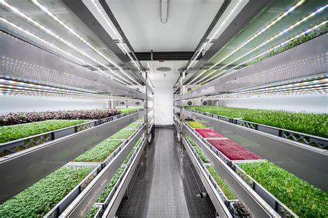 Vertical farming: