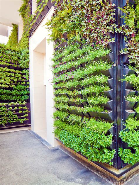 Vertical gardens: