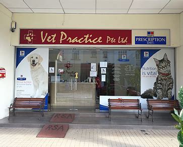 Vet Practice Pte Ltd: Empowering Pet Care with Innovation