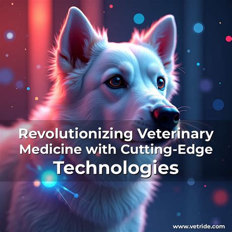 Vet Rocket: Revolutionizing Veterinary Medicine with Cutting-Edge Technology