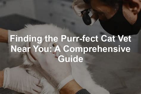 Vet Surgery Near Me: A Comprehensive Guide to Finding the Best Vet for Your Pet