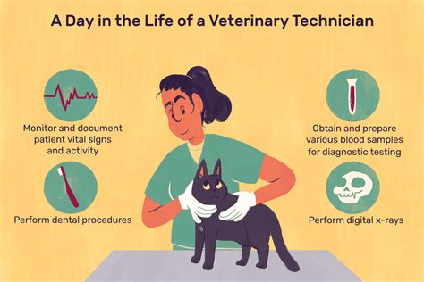 Vet Tech Career