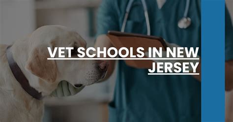 Vet Technician Schools in New Jersey: A Comprehensive Guide