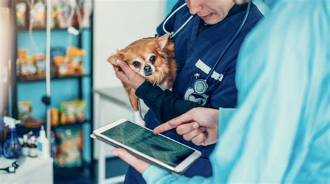 Vet telehealth and certifications