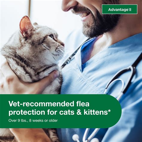 Vet-Recommended Flea Treatment for Cats: The Ultimate 5-Step Guide to Total Flea Eradication