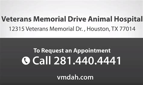 Veterans Memorial Drive Animal Hospital: Caring for Our Furry Heroes