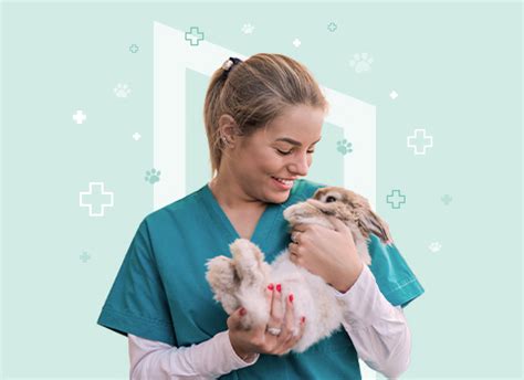 Veterinarian Assistant Jobs: A Comprehensive Guide to a Rewarding Career