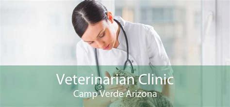 Veterinarian Camp Verde AZ: Your Guide to Local Veterinary Care