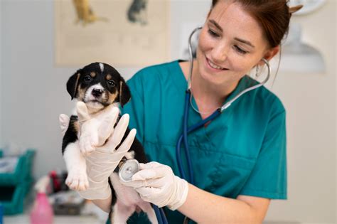 Veterinarians Help Reader