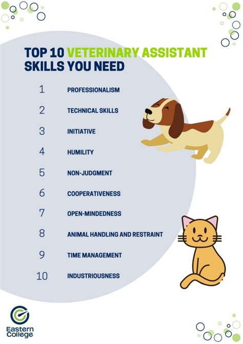 Veterinary Assistant Skills: The Big 10