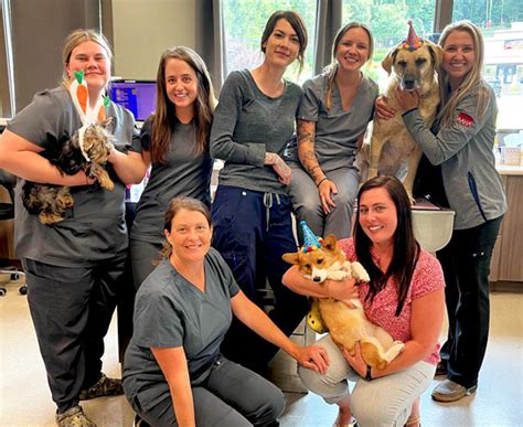 Veterinary Castle Rock CO: Your Complete Guide to Animal Care