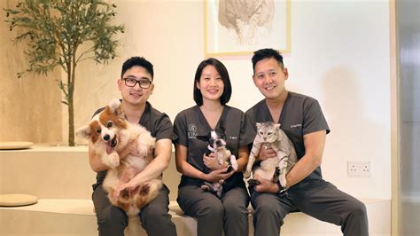 Veterinary Clinic Singapore: 10,000-Word Guide