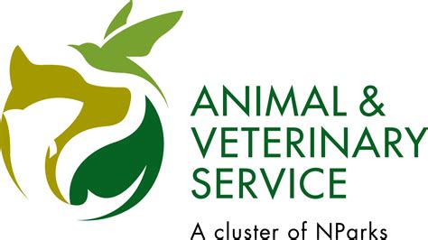 Veterinary Courses Singapore: Gateway to Animal Health and Welfare